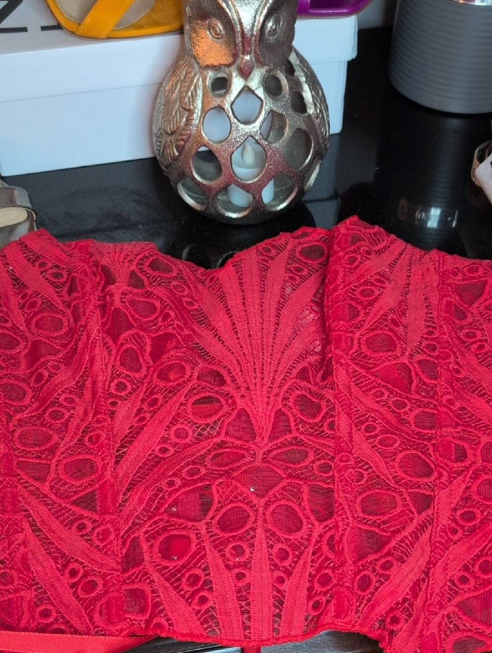 SHEIN Red Lace Crop Top